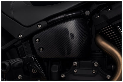 Battery Cover (Low Rider S/ST)