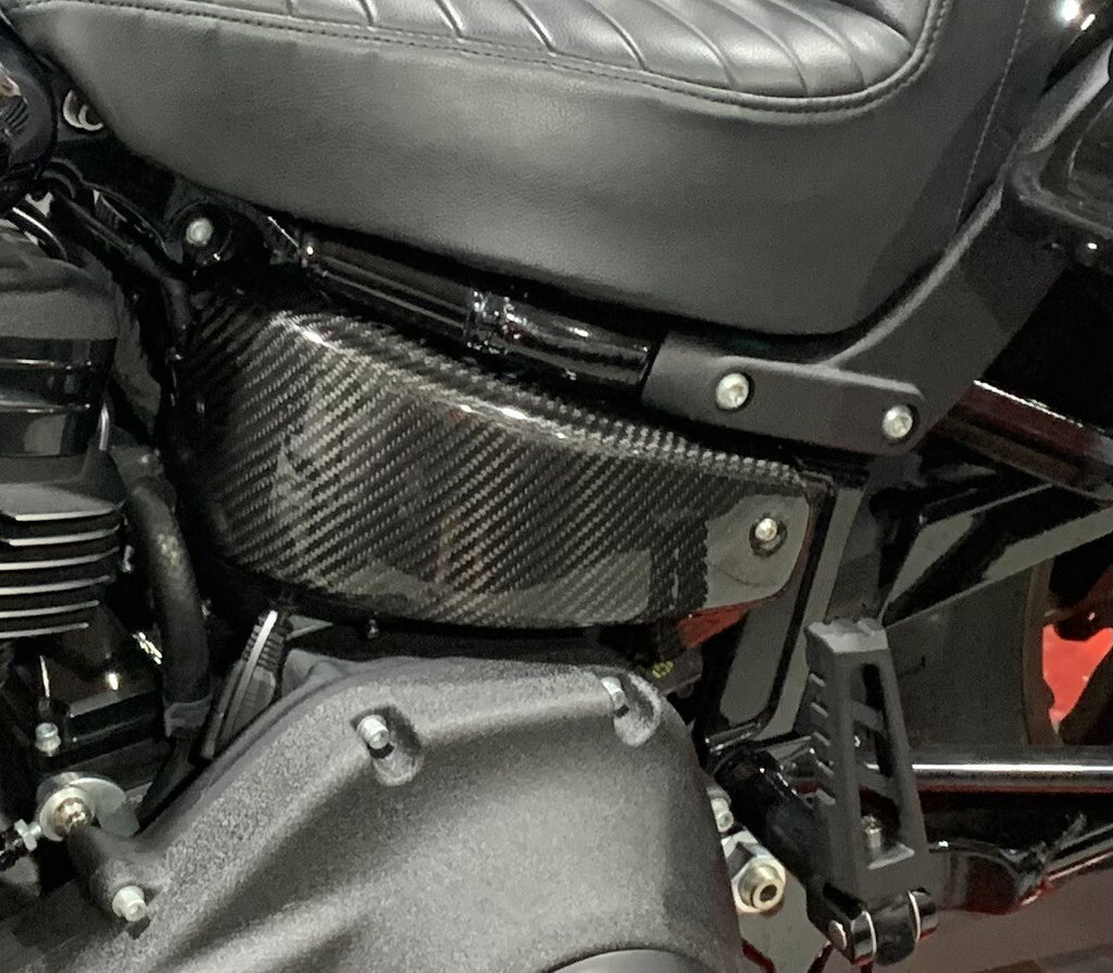 Battery Cover (Low Rider S/ST)