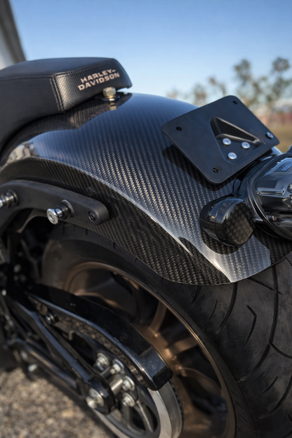 Rear Fender (Low Rider S/ST)